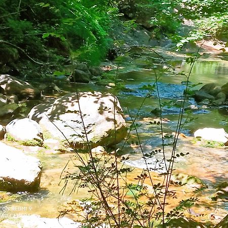 Brézilhac Chambre Independante Piscine, Parc, Cuisine... מראה חיצוני תמונה