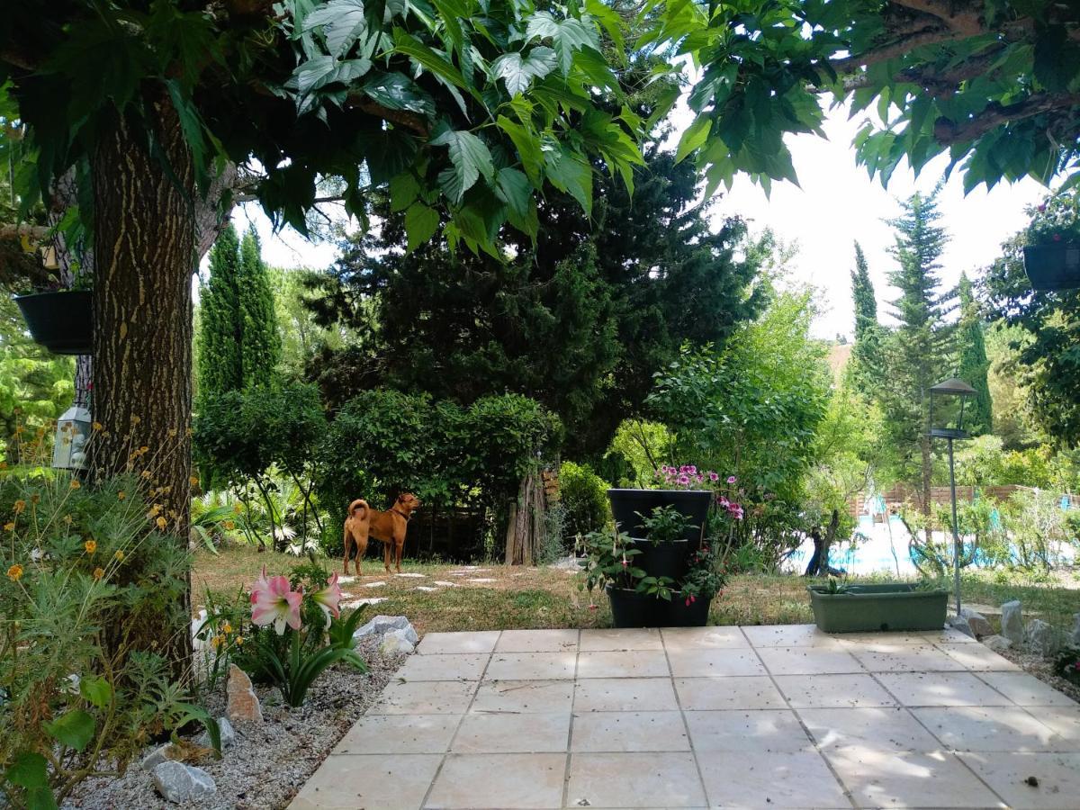 Brézilhac Chambre Independante Piscine, Parc, Cuisine... מראה חיצוני תמונה